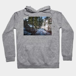 Cabin On The Banks Of The Wenatchee River Hoodie